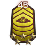 rank 45