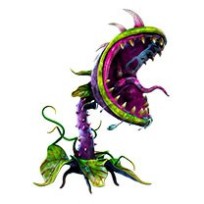 DroseraLasianth